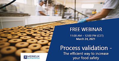 Webinar: PROCESS VALIDATION Webinar: PROCESS VALIDATION