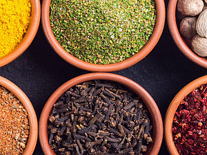 EFSA Zulassung NovelFood