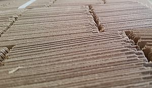 Bewertungsgrundlage Mineralöle in Lebensmitteln und Verpackungsmaterialien