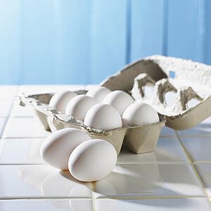 Analyse des Insektizids Fipronil in Eiern und Eiprodukten
