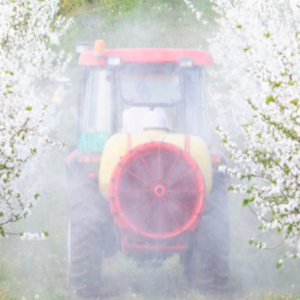Glyphosat, ein endokriner Disruptor?