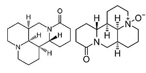 Bestimmung der insektizid wirkenden Alkaloide Matrine und Oxymatrine mittels LC-MS/MS etabliert