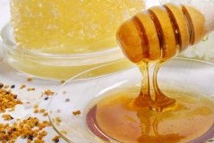 Nachweis von gentechnisch veränderten Pollen in Honig