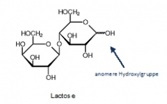 Lactose