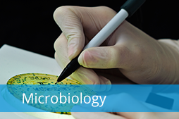 Microbiology