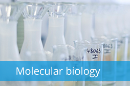 Molecular biology