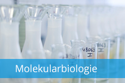 Molekularbiologie