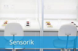 Sensorik