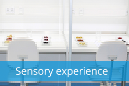 Sensory experience