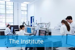 The Institute